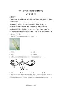 2024~2025学年浙江省温州市安阳实验中学七年级下册期中科学试题【附答案】