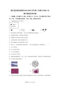 2024~2025学年浙江温州浙里联盟下册七年级4月期中测试科学试题【附答案】