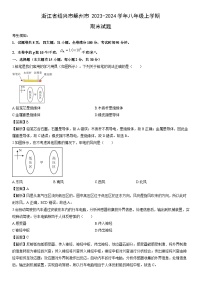 浙江省绍兴市嵊州市2023-2024学年八年级上学期期末科学试卷（解析版）