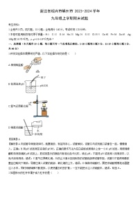 浙江省绍兴市嵊州市2023-2024学年九年级上学期期末科学试卷（解析版）