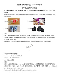 浙江省湖州市南浔区2023-2024学年九年级上学期期末科学试卷（解析版）