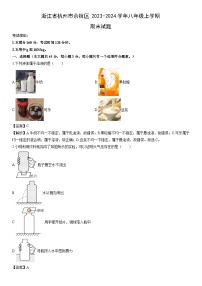 浙江省杭州市余杭区2023-2024学年八年级上学期期末科学试卷（解析版）