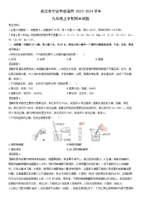 浙江省宁波市慈溪市2023-2024学年九年级上学期期末科学试卷（解析版）