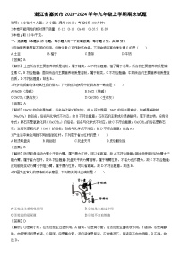 浙江省嘉兴市2023-2024学年九年级上学期期末科学试卷（解析版）