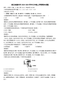 浙江省嘉兴市2023-2024学年九年级上学期期末科学试卷（解析版）