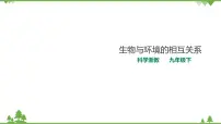 初中科学浙教版九年级下册第 1 节 生物与环境的相互关系精品ppt课件