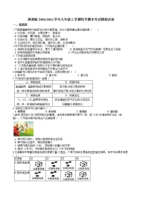 浙教版初三九年级上册科学期末试卷（word版，含解析）