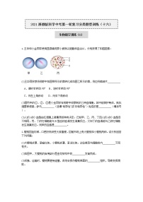 试卷 2020-2021学年浙教版科学中考第一轮复习分类题型训练（十六）：生物填空（6）