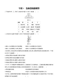 2021年浙教版科学中考生物部分专题突破专题04　生命活动的调节