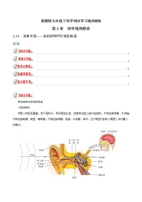 初中科学浙教版七年级下册第3节 耳和听觉教学设计