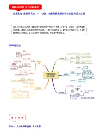 动物、细菌、流感病毒等微生物的有性生殖与无性生殖（4个考点）-2021年中考科学（浙教版）重难点、易错点复习练习（教育机构专用）