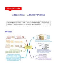 人体动态平衡与泌尿系统（3个考点）-2021年中考科学（浙教版）重难点、易错点复习练习（教育机构专用）