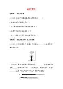 2021年春人教版物理中考第一轮复习专题训练   物态变化（word版含答案）