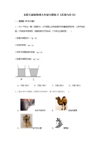 北师大新版物理八年级下册专题复习《压强与浮力》（含答案）