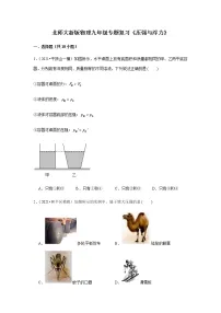 北师大新版物理八年级下册专题复习《压强与浮力》(含答案)