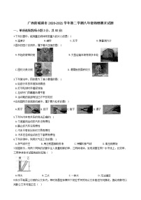 广西壮族自治区防城港市2020-2021学年下学期八年级物理期末试题 （word版，含答案）