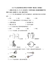 2021年山东省菏泽市巨野县中考物理一模试卷（解析版及原卷版）