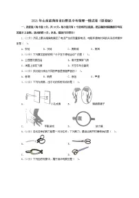 2021年山东省菏泽市巨野县中考物理一模试卷(解析版及原卷版)