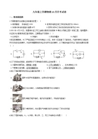 2020-2021年辽宁省葫芦岛市九年级上学期物理10月月考试卷附答案