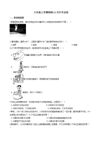 2020-2021年广东省湛江市八年级上学期物理12月月考试卷附答案