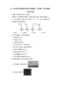 鲁教版 (五四制)八年级下册第一节 力及其作用效果测试题