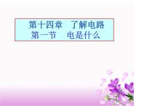 物理九年级全册第十四章 了解电路第一节 电是什么教案配套ppt课件