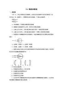 人教版八年级上册第4节 眼睛和眼镜精品同步达标检测题