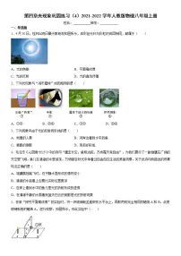 人教版八年级上册第四章 光现象综合与测试测试题