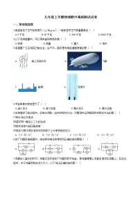 2021年上海市奉贤区九年级上学期物理期中调研测试试卷