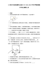 初中物理粤沪版八年级上册3 探究平面镜成像特点课时训练