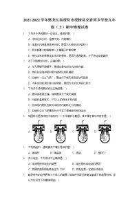 2021-2022学年黑龙江省绥化市绥棱县克音河乡学校九年级（上）期中物理试卷