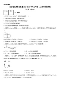 2019-2020学年九年级上学期安徽省沿淮教育联盟期末物理试题（原卷+解析卷）