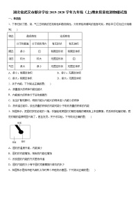 2019-2020学年九年级上学期湖北省武汉市部分学校期末质量检测物理试题（原卷+解析卷）