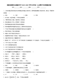 2019-2020学年九年级上学期湖南省郴州市湘南中学期中考试物理试题（原卷+解析卷）