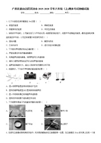 2019-2020学年八年级上学期广西壮族自治区河池市期末考试物理试题（原卷+解析卷）