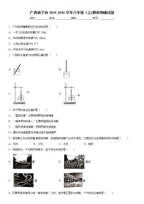 2019-2020学年八年级上学期广西南宁市期末物理试题（原卷+解析卷）