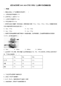 2019-2020学年八年级上学期武汉市汉阳区期中考试物理试题（原卷+解析卷）