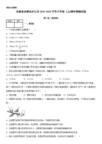 2019-2020年八年级上学期安徽省合肥市庐江县期中物理试题（原卷+解析卷）