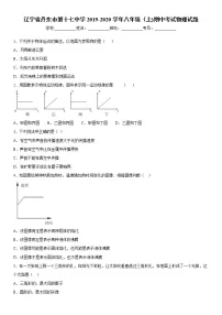2019-2020学年八年级上学期辽宁省丹东市第十七中学期中考试物理试题（原卷+解析卷）