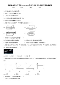 2019-2020学年八年级上学期湖南省永州市宁远县期中考试物理试题（原卷+解析卷）