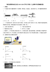 2019-2020学年八年级上学期湖北省黄冈市红安县期中考试物理试题（原卷+解析卷）