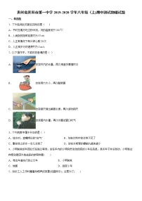 2019-2020学年八年级上学期贵州省贵阳市第一中学期中测试物理试题（原卷+解析卷）