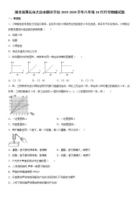 2019-2020学年八年级上学期湖北省黄石市大冶市部分学校10月月考物理试题（原卷+解析卷）