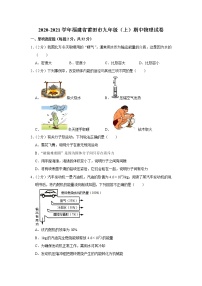 福建省莆田市2020-2021学年九年级上学期期中物理试卷（word版含答案）