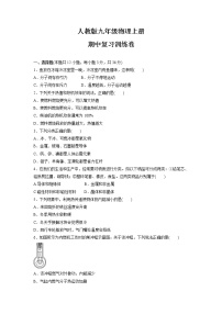 2021-2022学年人教版九年级物理上册    期中复习训练卷（word版含答案）