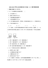 山东省德州市2020-2021学年八年级上学期期中物理试卷（word版含答案）