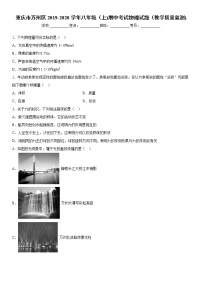 2019-2020学年八年级上学期重庆市万州区期中考试物理试题（教学质量监测)（原卷+解析卷）