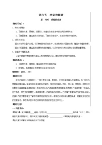 沪科版八年级全册第六节 神奇的眼睛教学设计