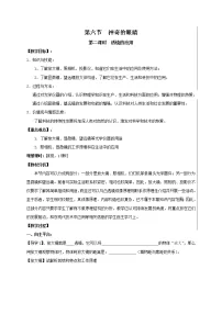 沪科版八年级全册第六节 神奇的眼睛教学设计