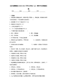 山东省聊城市2020-2021学年九年级（上）期中考试物理试题（word版 含答案）